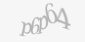 Kod antyspamowy
